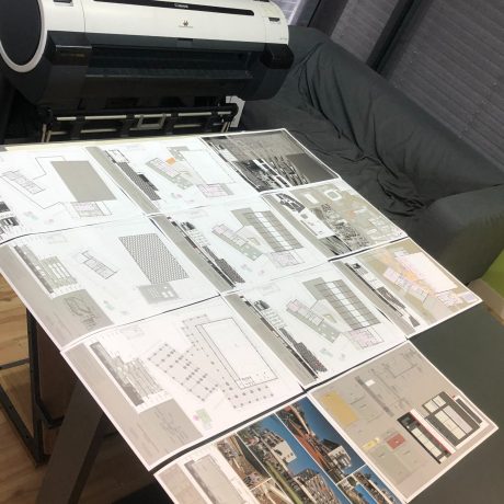 proiect printat